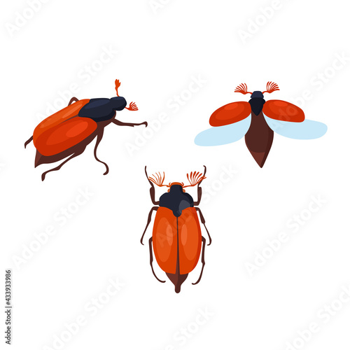 Set of May beetles. Vector illustration in cartoon style.
