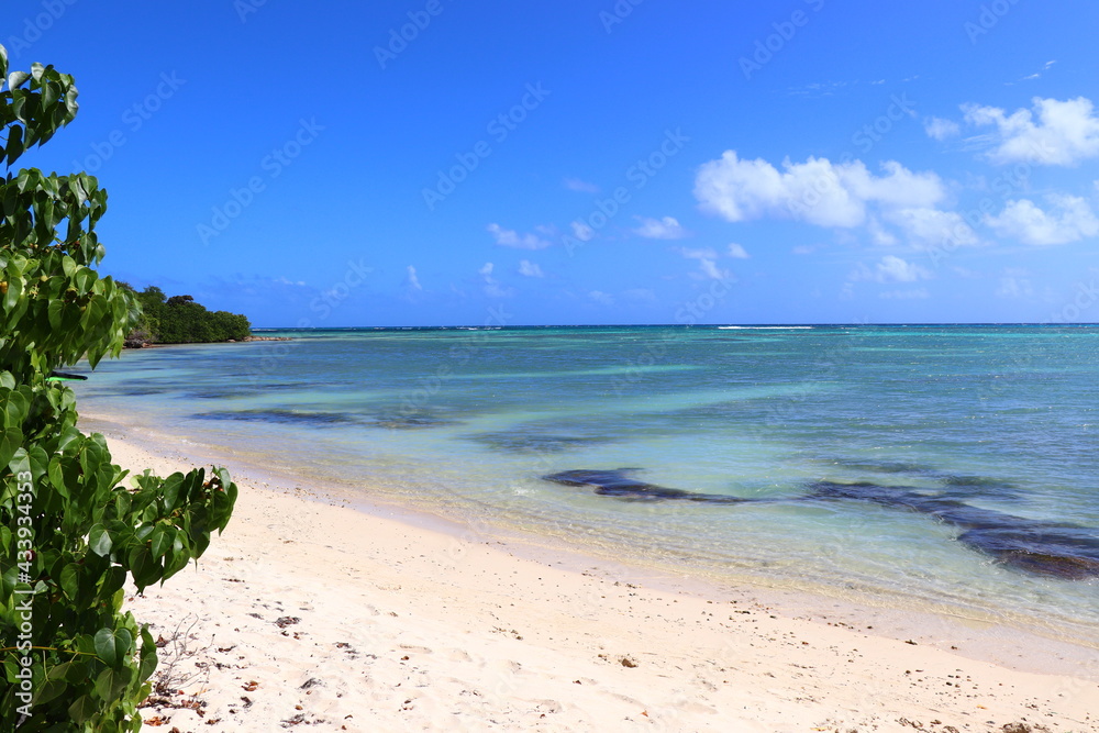 Paysages Point des Châteaux Guadeloupe Caraïbes Antilles Françaises