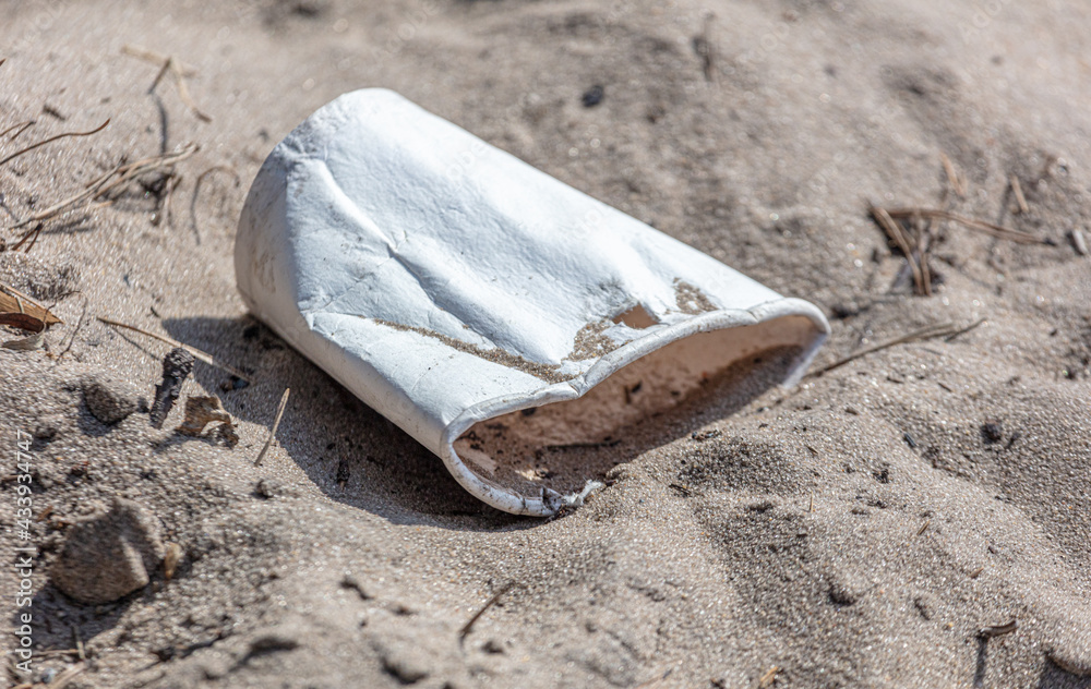 Paper cup in the sand in the park Paper cup in the sand in the park