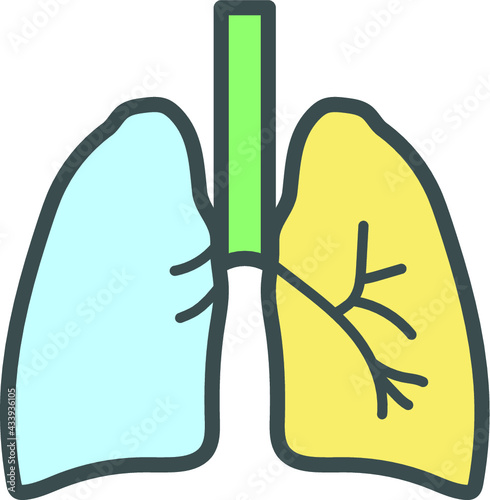 Lungs