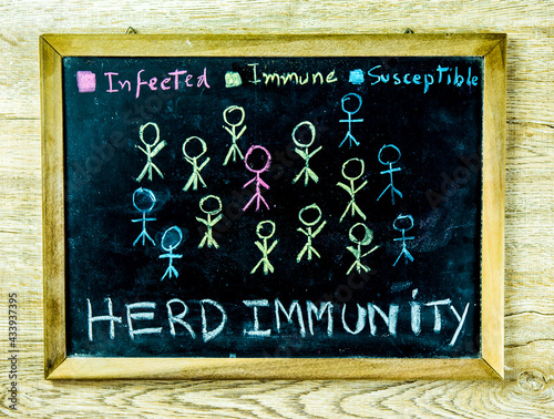 herd immunity word on blackboard , in studio Chiangmai Thailand