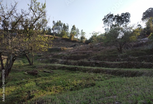 This is a hillside picture taken in kodaikanal hills.