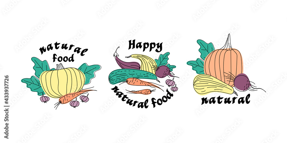 Set of stickers of vegetables drawn with live line. Pumpkin, zucchini, carrots, beets, eggplants, garlic are arranged in no particular order. Flat vector illustration.