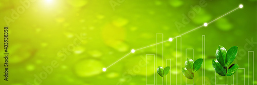 Agriculture plant seeding growing. Panoramic banner. Germinating seedling. Business development growth, planing and strategy concept.