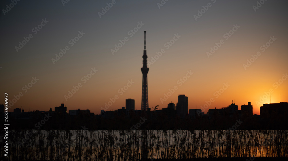 sunset over the city