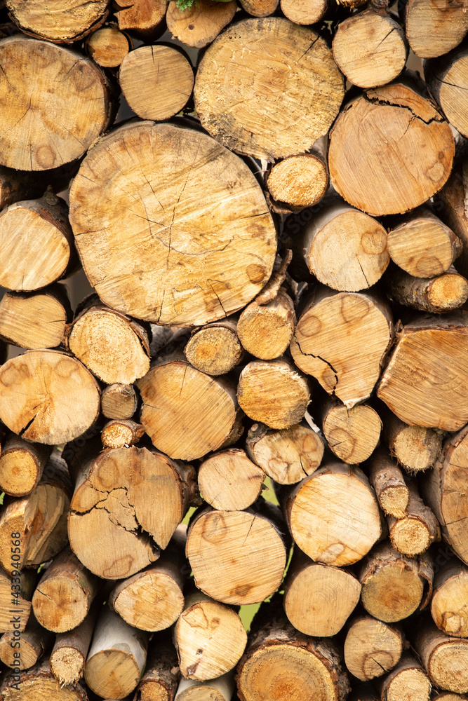 Detail view a big pile of trunks, trees. Closeup of wooden trunks. in nature. Wooden background. Log background Detail view a big pile of trunks, trees. Closeup of wooden trunks. in nature. Wooden background. Log background