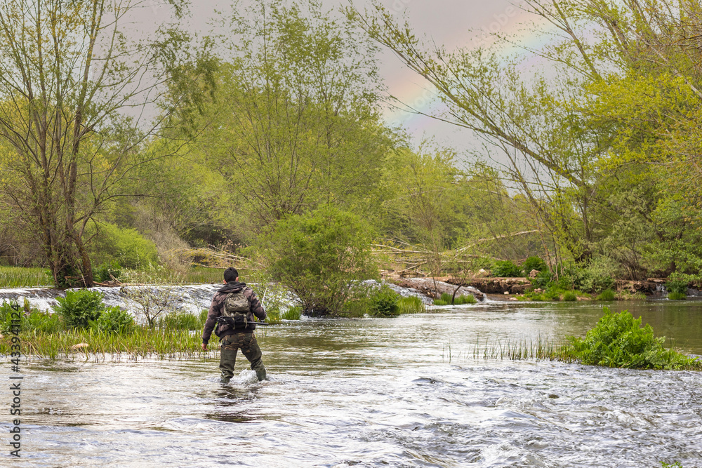 fisherman on his back with camouflage suit and high rubber boots wading the river with fishing rod in a stream with a small waterfall and mountains in the background