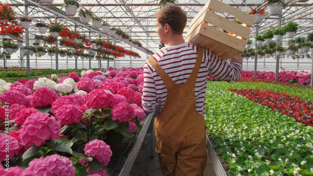 Young man holding empty box in a greenhouse. Happy garden center owner.