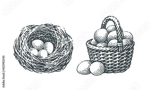 Forest, farm, chicken, bird nest with four eggs into it and basket with eggs.
Hand drawn engraving vintage style vector illustrations.