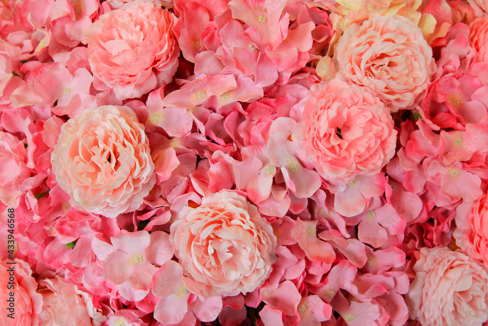Beautiful Pattern of pink flower background. Beauty of nature and Natural wallpaper. Flora at garden park. Beautiful Pattern of pink flower background. Beauty of nature and Natural wallpaper. Flora at garden park.