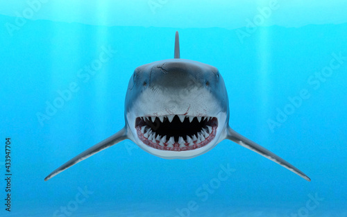 Illustration front view of a great white shark swimming through blue ocean water with mouth opening and rows of teeth showing.