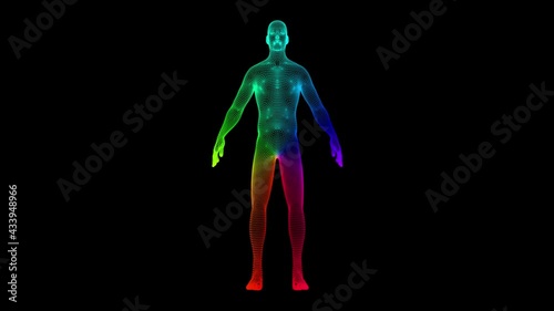 Man Anatomic Hologram Loop. Man hologram rotation with spectrum rainbow colors that are in motion, 10 seconds duration  , seamless loop. photo