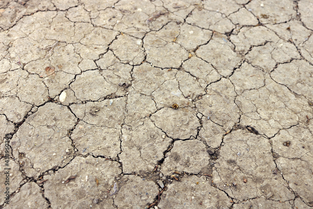 desertification landscape with cracked and dry rough soil as a consequence of global warming and climate change - surface of a wasteland desert desertification landscape with cracked and dry rough soil as a consequence of global warming and climate change - surface of a wasteland desert