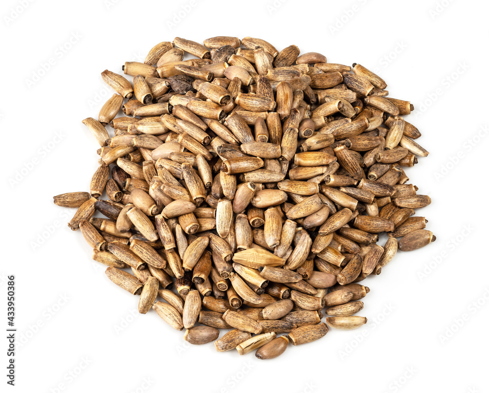 pile of milk thistle seeds closeup on white pile of milk thistle seeds closeup on white