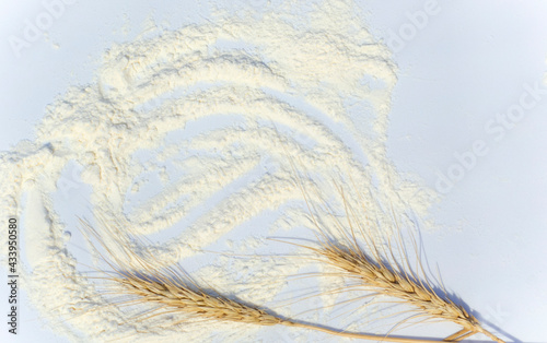 Rustic flour sprinkled on a white background and wheat ears. Taken from above (top view, flat surface). Layout with free text space.