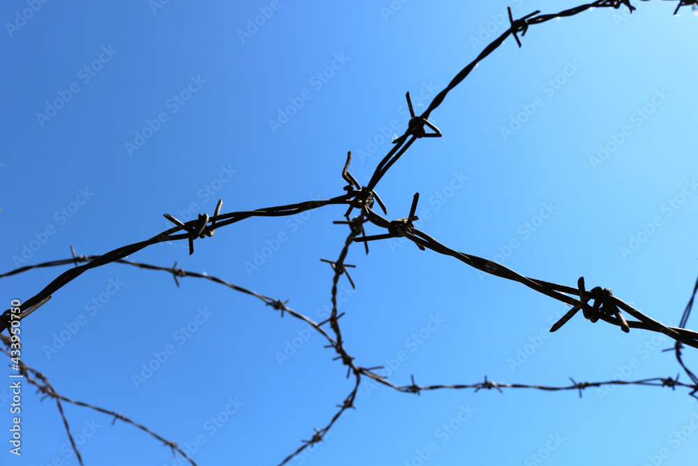 isolated wire with spikes from a prison - closeup with a blue background from a clear sky isolated wire with spikes from a prison - closeup with a blue background from a clear sky