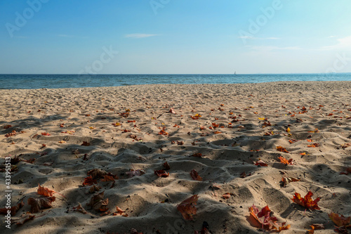 An idyllic view on an empty beach in Gdynia, Poland, with calm Baltic Sea in the back. There are colorful tree leaves on the sand. Change of seasons. Golden autumn. Serenity and calmness