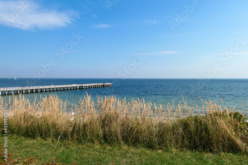 A panoramic view on the costal line in Gdynia  Poland  seen from a small cliff above the sea level.  There is a white pier going into the calm Baltic Sea. High grass overgrowing the shore. Idyllic