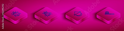 Set Isometric line Mite, Beetle bug, Beekeeper hat and Butterfly net icon. Vector