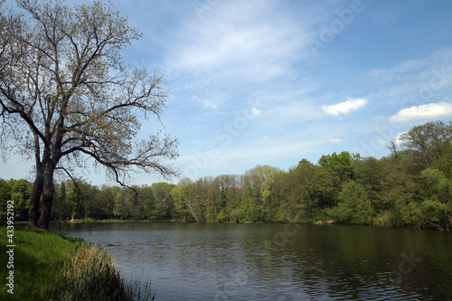 fr  hlingserwachen 