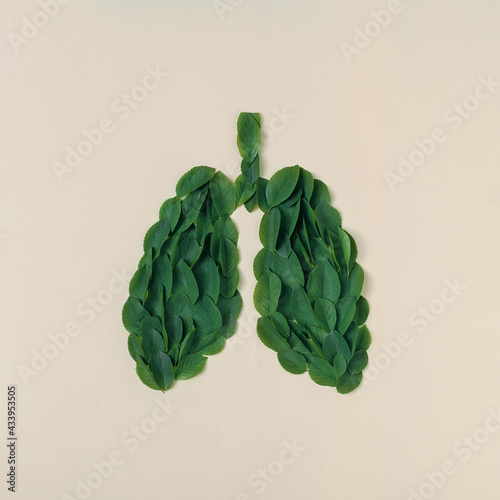 Human lung shape is made of green leaves. Minimal creative concept of health and nature. photo