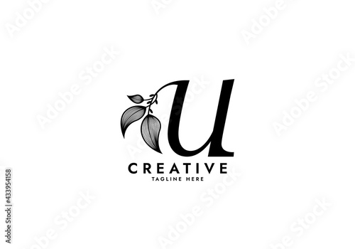 Letter U Linked Leaf Logo, Black color, unique design