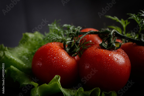 Wet, red, small tomatoes and other greens, dill, onions, lettuce with water drops.