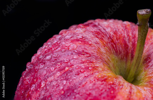 Royal gala apple, covered by water drops on black background. Macro photography of the red apple covered by water drops.