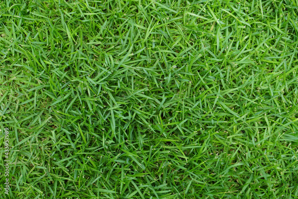 Artificial Grass Field Top View Texture. Green grass texture background. Top view with copy space. Artificial Grass Field Top View Texture. Green grass texture background. Top view with copy space.