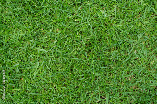 Artificial Grass Field Top View Texture. Green grass texture background. Top view with copy space.