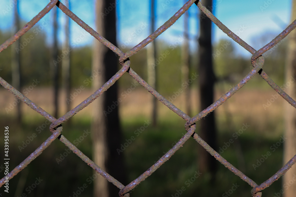 ogrodzenie drut stary metalowy