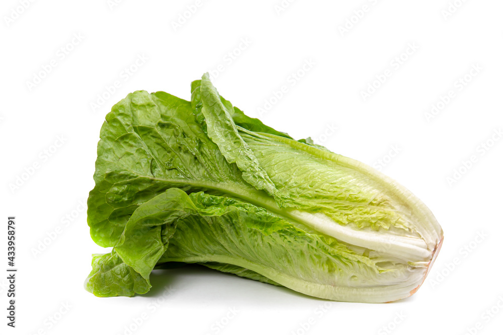 A head of fresh lettuce lies on a white isolated background. A head of fresh lettuce lies on a white isolated background.