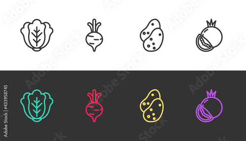 Set line Cabbage, Beet, Potato and Tomato on black and white. Vector