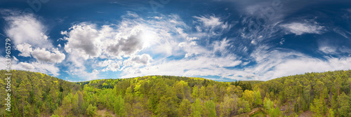 pfaelzer forest 360° airpano photo