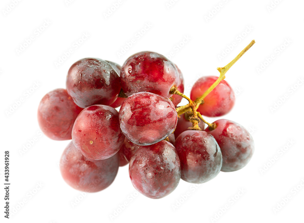 Bunch of pink grapes close up isolated on white background.