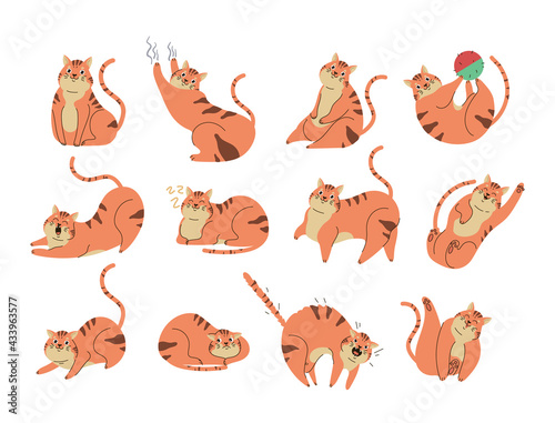 Cute funny cat in different position and with different face emotion on white isolated background. Modern style simple flat vector illustration