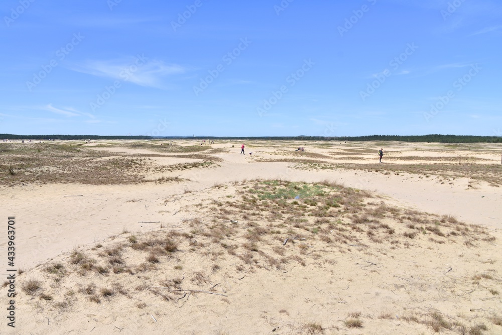 Pustynia Bledowska, wydmy, piasek, dawny poligon wojskowy, Rezerwat Przyrody, Natura 2000, atrakcje , teren rekreacyjny, 