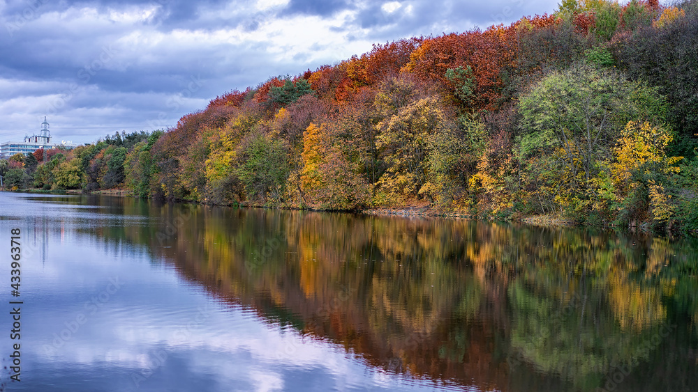 Autumn landscape near the lake. 