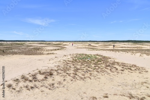 Pustynia Bledowska  wydmy  piasek  dawny poligon wojskowy  Rezerwat Przyrody  Natura 2000  atrakcje   teren rekreacyjny  