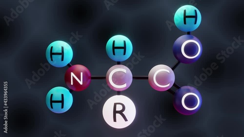 Video of Amino acid molecule, 3d render, Molecular structure of  amino acids photo