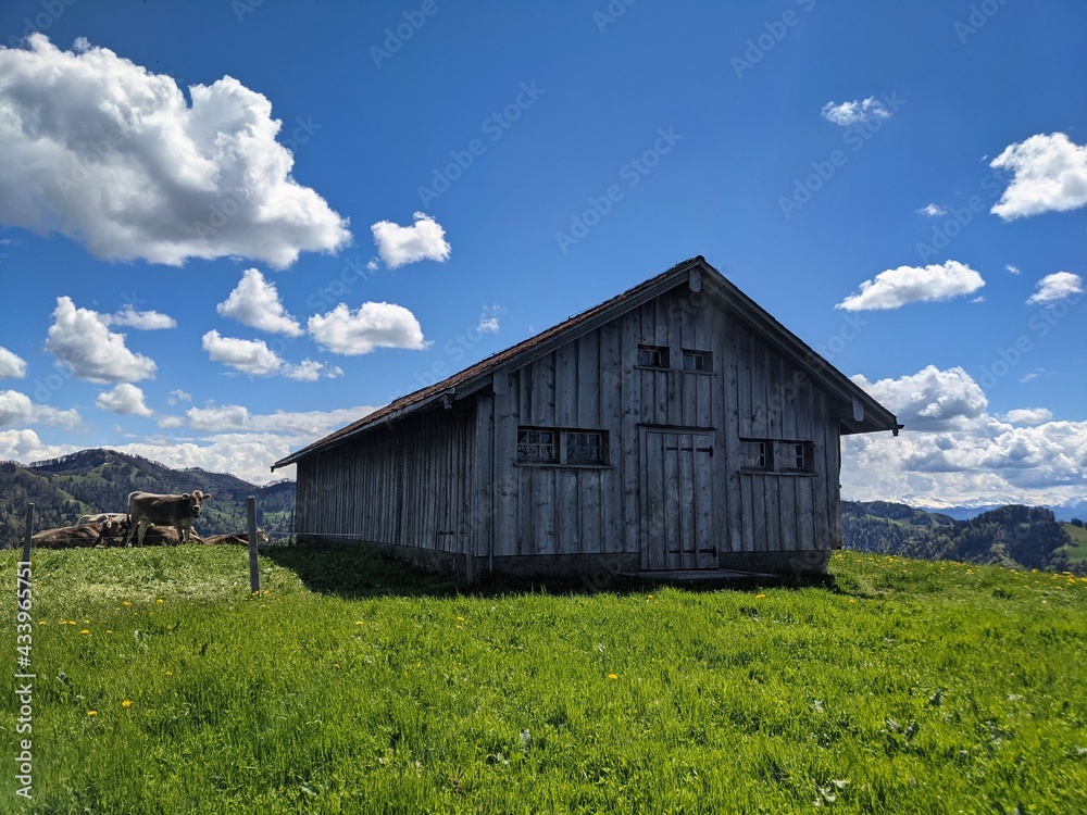 Obraz premium small old wooden hut on the hill with a fantastic view of the hills in the zurich oberland. Near the Hoernli. Swiss