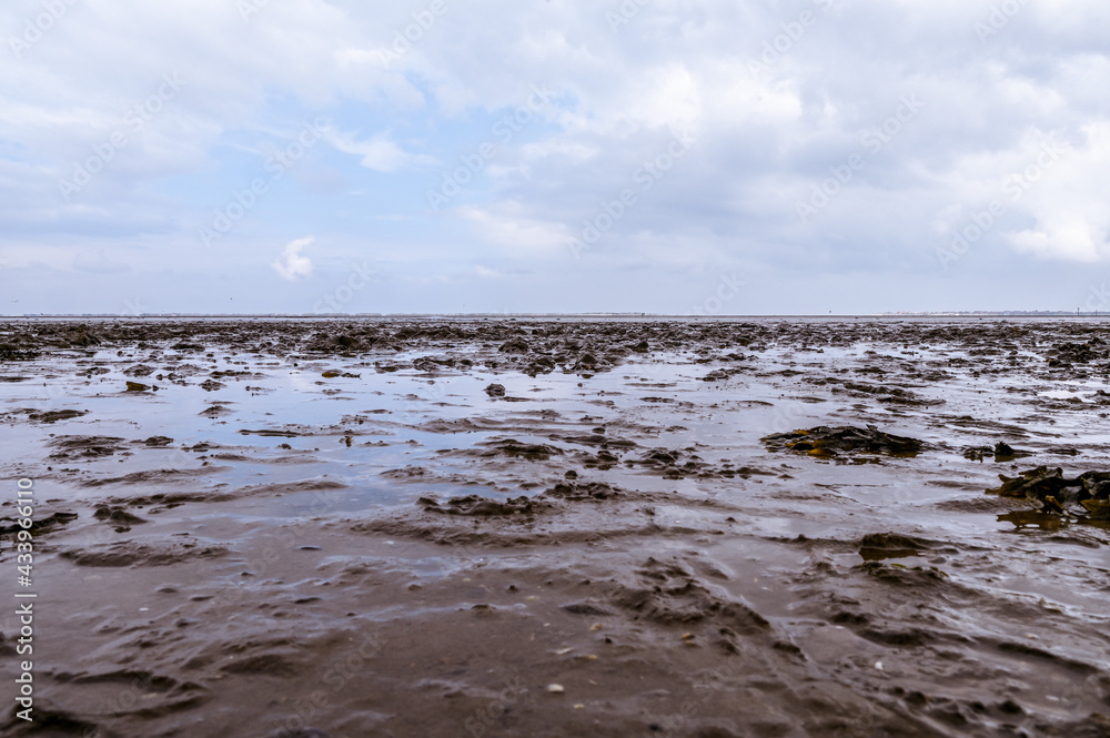 The Wadden Sea on the North Sea coast in Lower Saxony Germany The Wadden Sea on the North Sea coast in Lower Saxony Germany