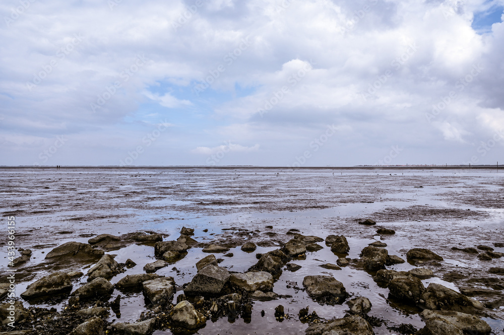 The Wadden Sea on the North Sea coast in Lower Saxony Germany The Wadden Sea on the North Sea coast in Lower Saxony Germany