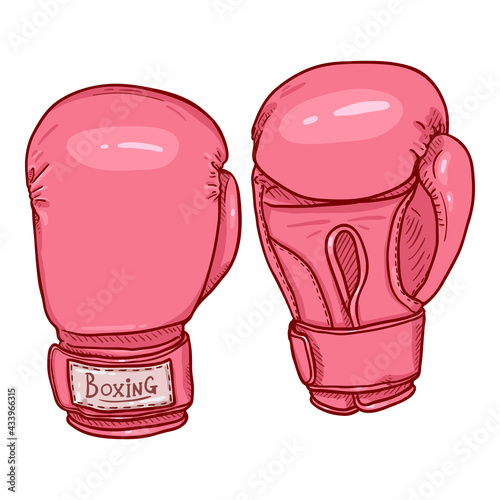 Vector Cartoon Pink Boxing Gloves