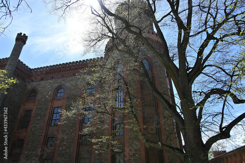 Marianna Orańska von Hohenzoller's Palace Kamieniec Ząbkowicki (German Kamenz, Camenz). Architect Karol Fryderyk Schinkel and Ferdynand Martius. Built in 1782.
