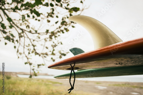 surf board