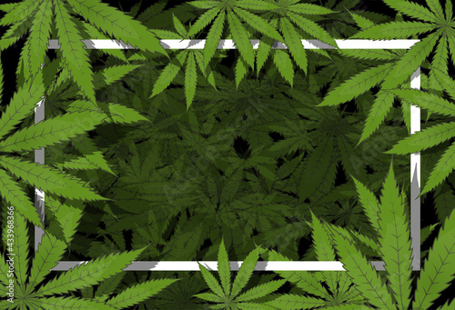 Cannabis leaf marijuana background