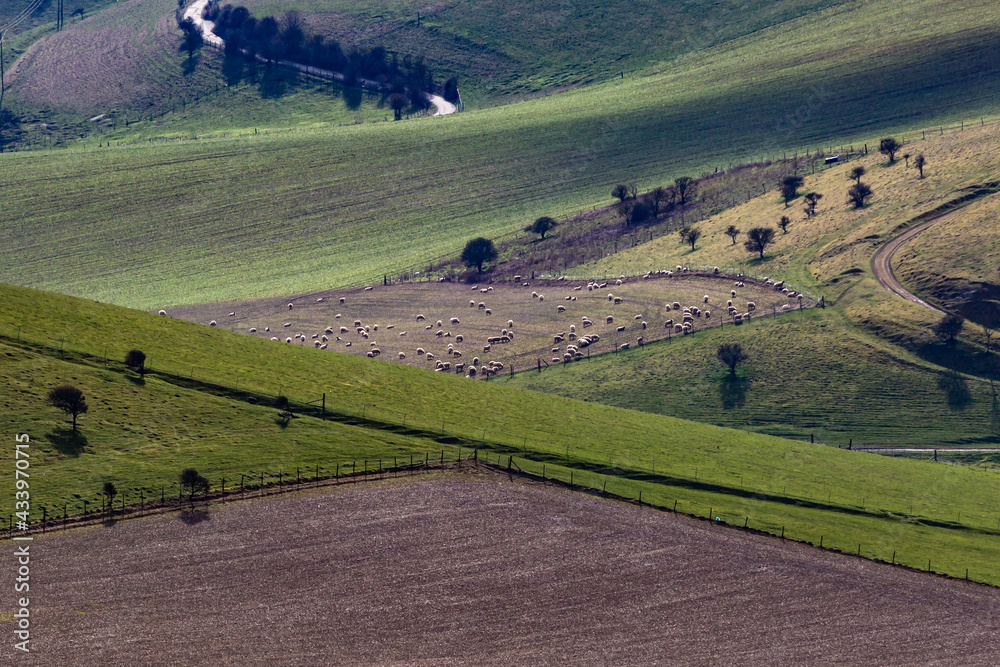 A Rural South Downs View