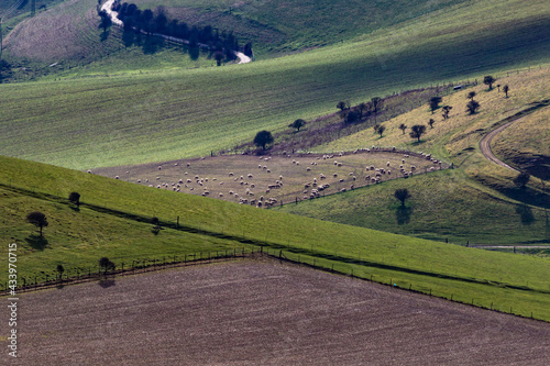 A Rural South Downs View