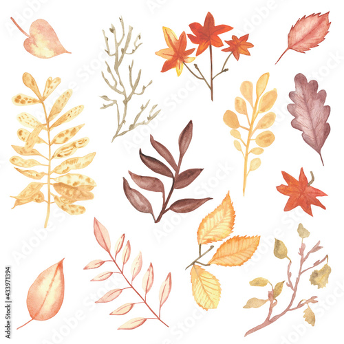 Watercolor hand painted nature autumn plants set composition with red maple  yellow  oak brown leaves and branches collection isolated on the white background for design elements